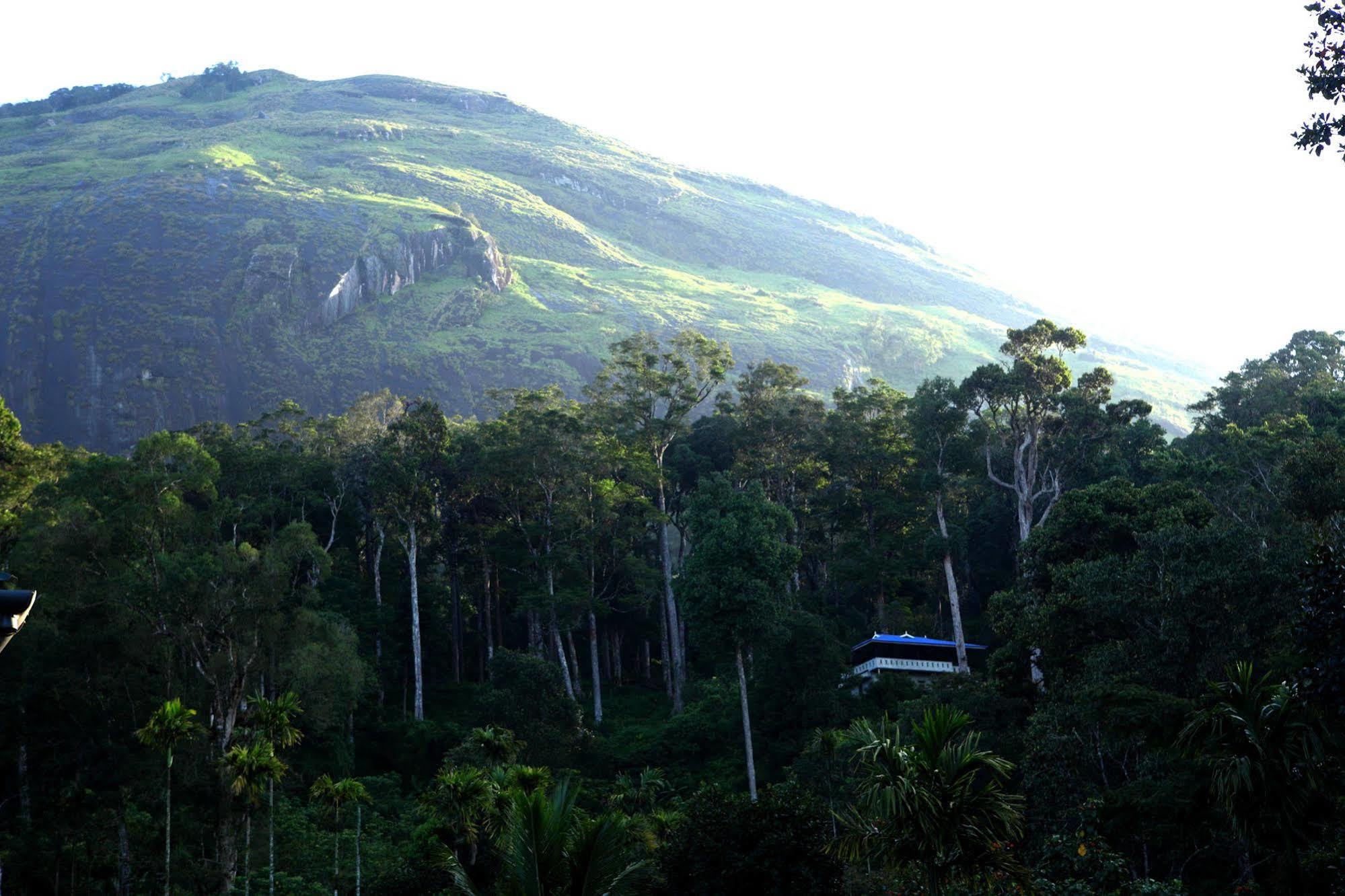 Green Shades Munnar Buitenkant foto